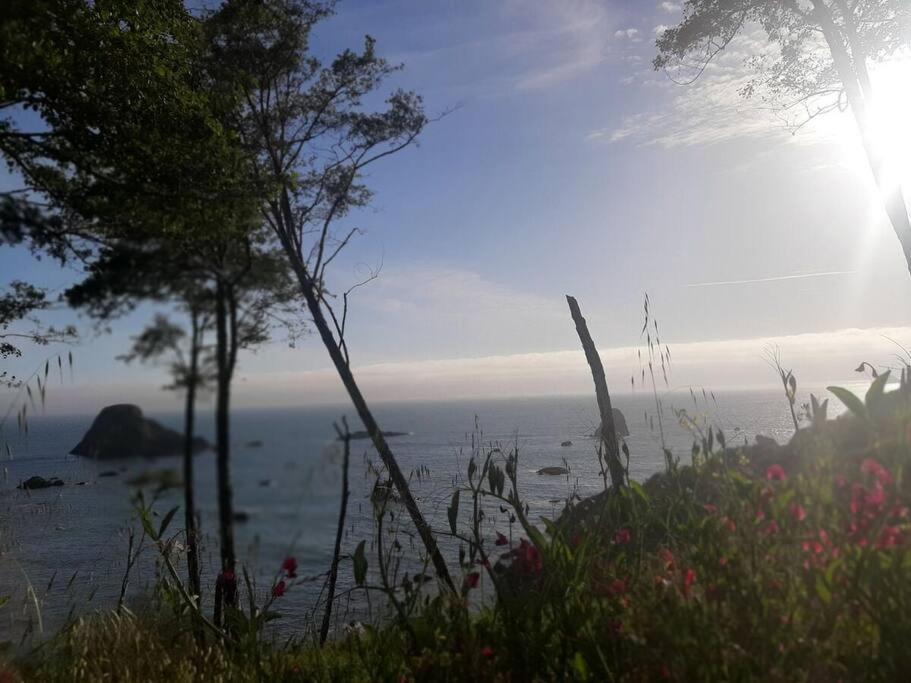 Ocean View Village Condo With Trails To Beaches 特立尼达 外观 照片